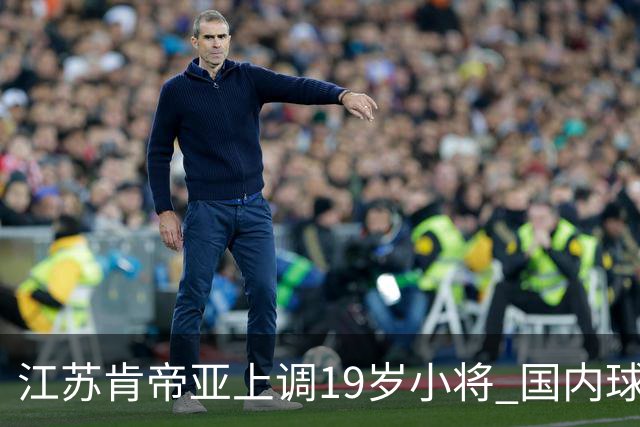 江苏肯帝亚上调19岁小将 国内球员注册达16人